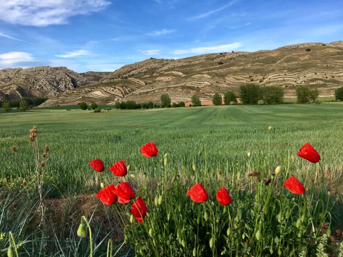 La Yedra Hébergement de vacances