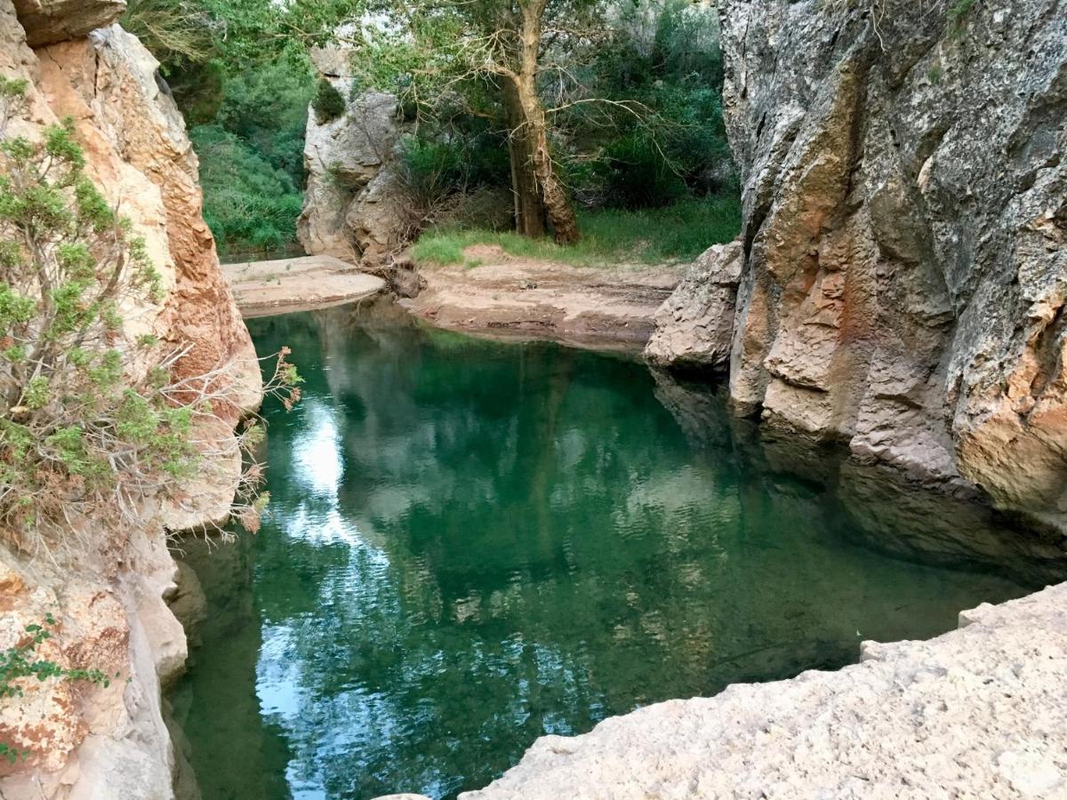 La Yedra Galve